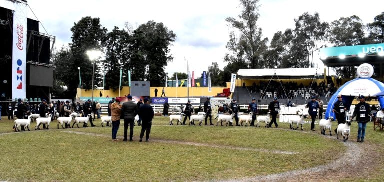 Expo: ARP denuncia que vendedores de carne son mejores beneficiados que productores