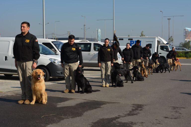 Senad adquiere y entrena canes para detección de drogas