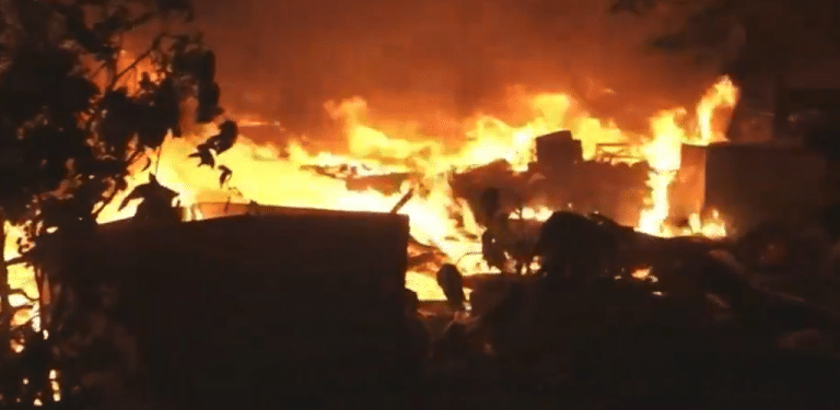 Casas precarias destruidas y muerte de mascotas fueron el resultado del incendio en Bañado Sur