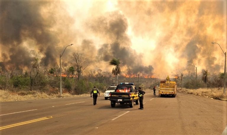 Fuego consume al histórico Parque Cerro Corá