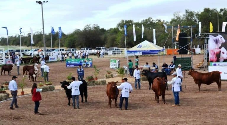 Otro clamor por seguridad, esta vez desde la Expo Trébol, en el Chaco paraguayo