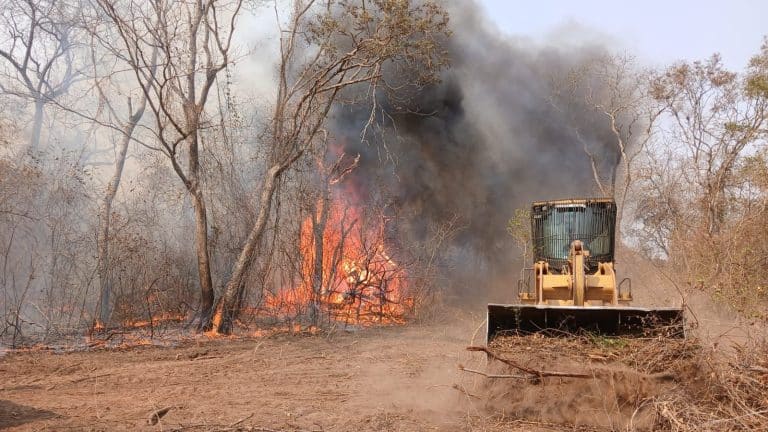 El Chaco bajo fuego: Militares realizan Operativo Tata Ñembogüe por el incendio forestal