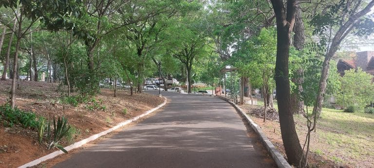 Seguridad en los parques públicos