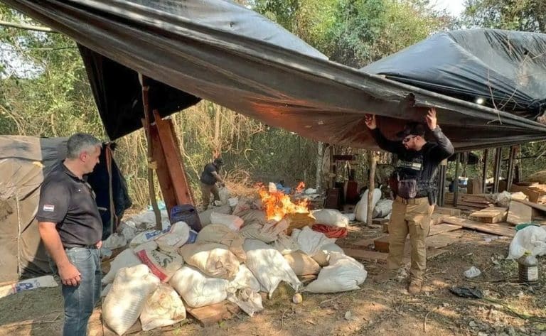 SENAD investiga a responsables de toneladas de marihuana halladas en San Pedro y Canindeyu