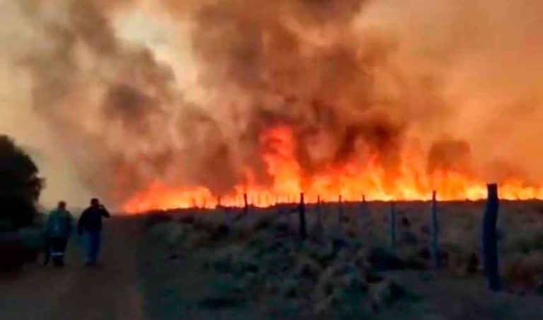 Lluvias no fueron suficientes en Toro Pampa