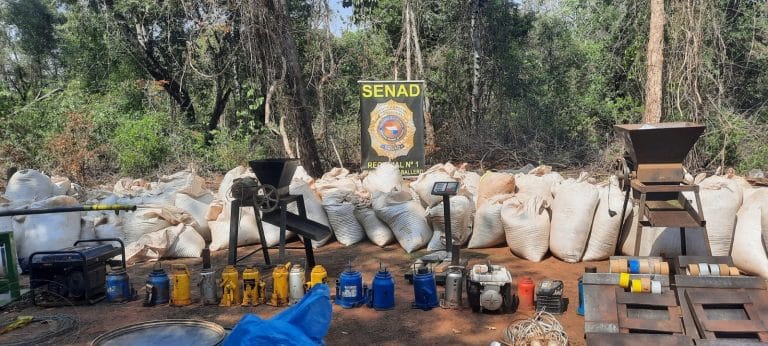 En operaciones simultáneas, Senad anula más de 8 toneladas de marihuana