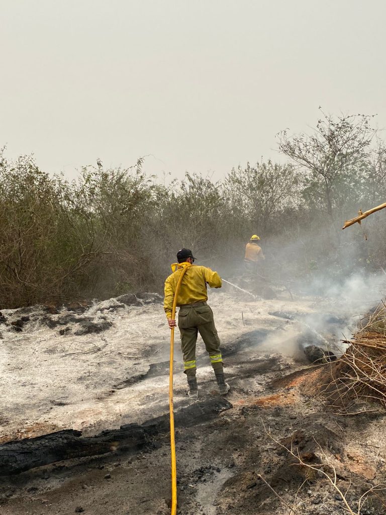 Punto de partida para la protección ambiental