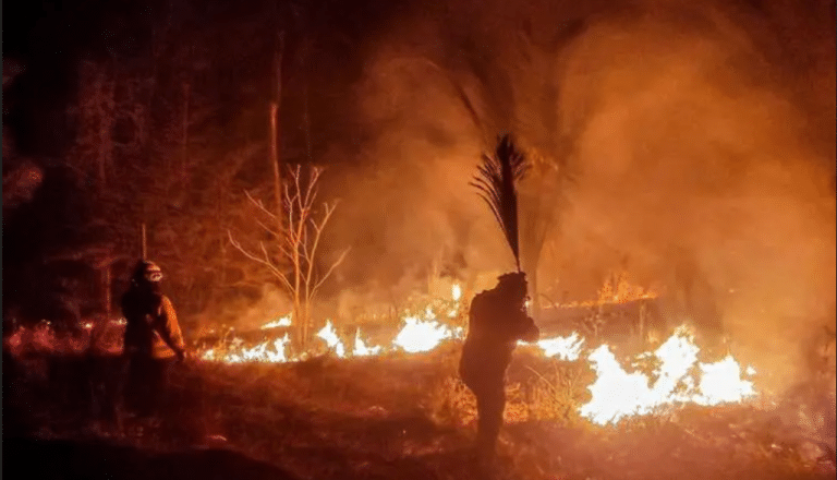 Bolivia declara desastre nacional por incendio forestal incontrolable