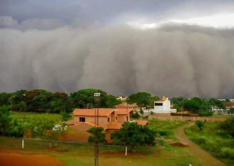 Mingo explicó el fenómeno de la «lluvia negra»