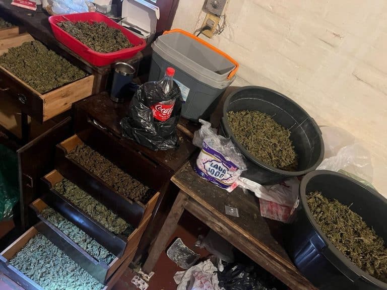 Encuentran gran cantidad de marihuana VIP en Asunción