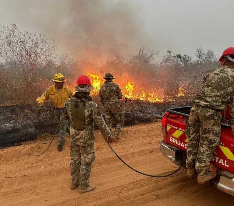 Mades impone dura sanción a quienes provocaron fuego en el Chaco