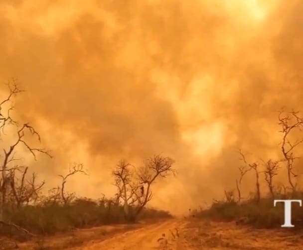 Desde Salud alertan sobre efectos adversos a causa del humo