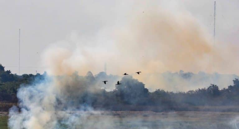 Mañana fresca, tarde calurosa y noche cálida. Temperatura en aumento. Mucho humo