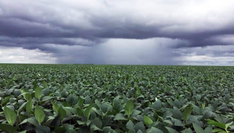 Sequía y La Niña desafían la zafra agrícola 2024-2025