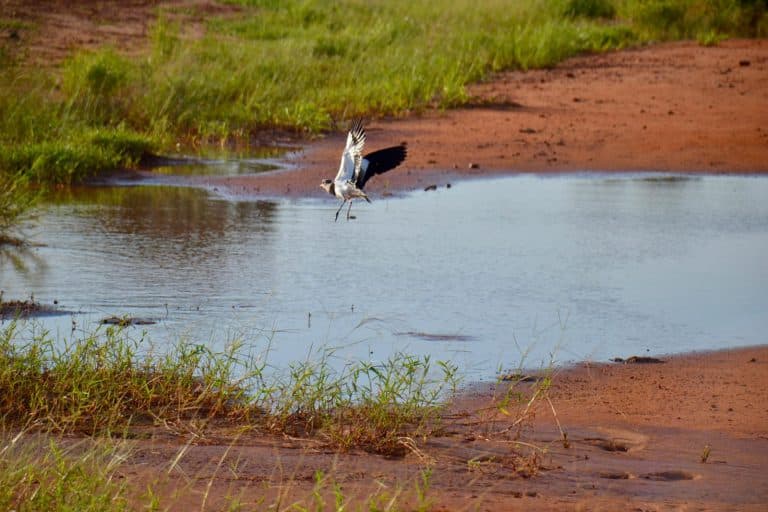 MOPC destinará G. 50.000 millones a la conservación ambiental