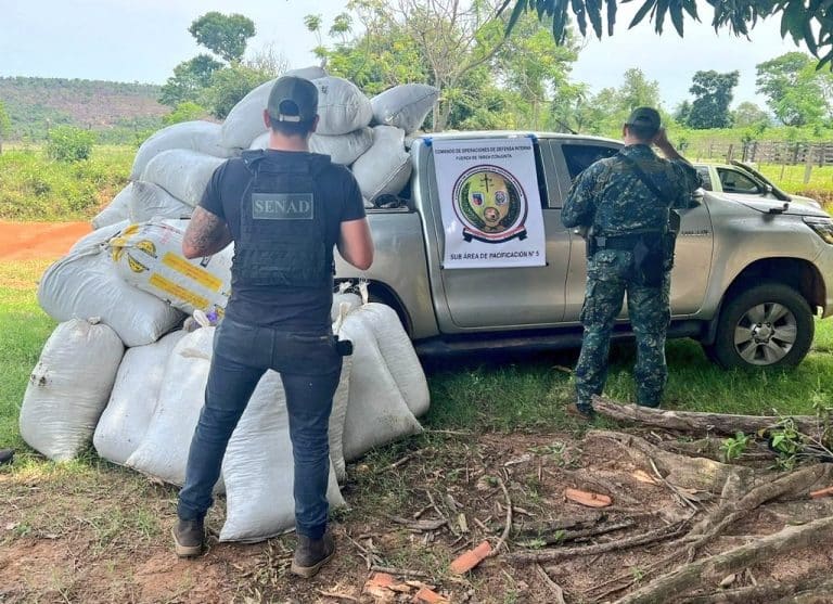 Incautan 3.790 kilos de marihuana que pertenecería a la banda de «Macho»