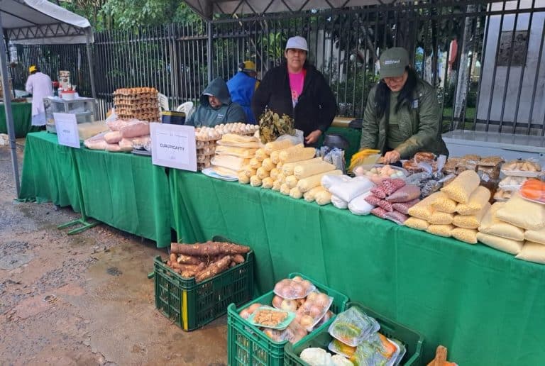 Volver a incentivar la agricultura familiar