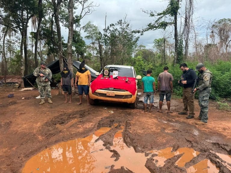 Encuentran 6 toneladas de marihuana en Canindeyú