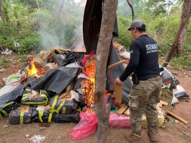 Actualizan cantidad de droga hallada en Canindeyú