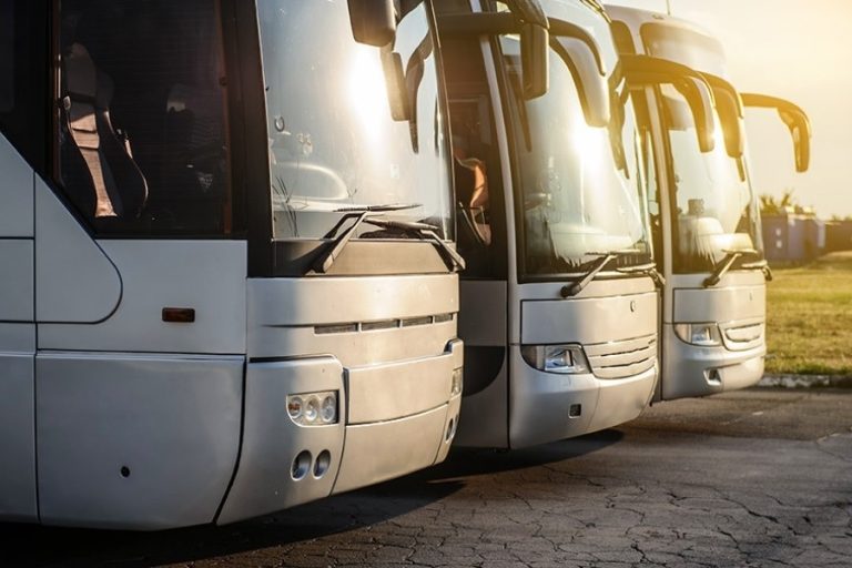 Gremio de Transporte Terrestre celebra uno de los mejores años