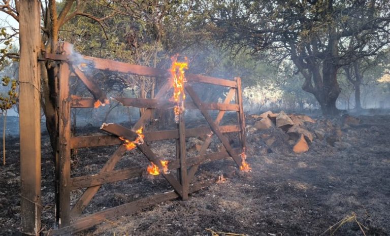 Fuego no da tregua al Banco San Miguel