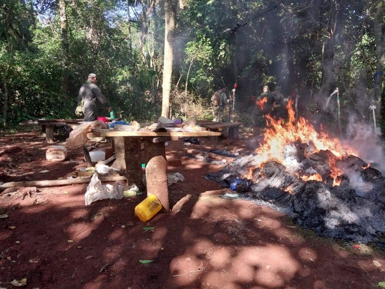 Narcotráfico en Itapúa: queman marihuana prensada y cultivos