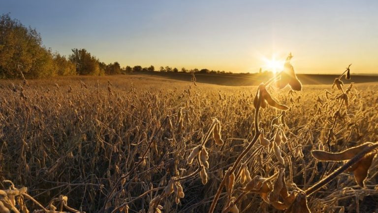 Explicaron los posibles efectos de La Niña en la región