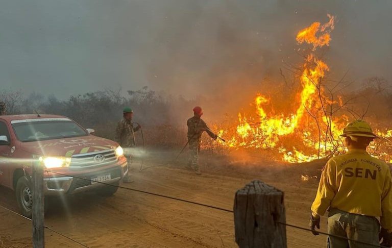 Van más de 14.000 hectáreas afectadas por incendios en el país