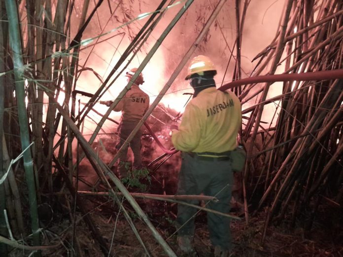 Incendio en Ciervo Cua