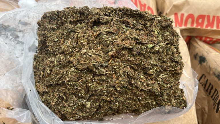 Incautan marihuana oculta en bolsas de carbón