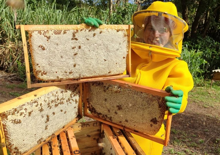 La apicultura paraguaya floreció como alternativa económica