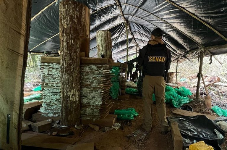 Fiscalía y SENAD golpearon estructura narco en Canindeyú