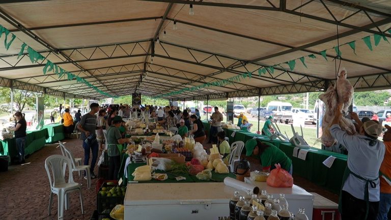 Las ferias campesinas germinan en tierra fértil