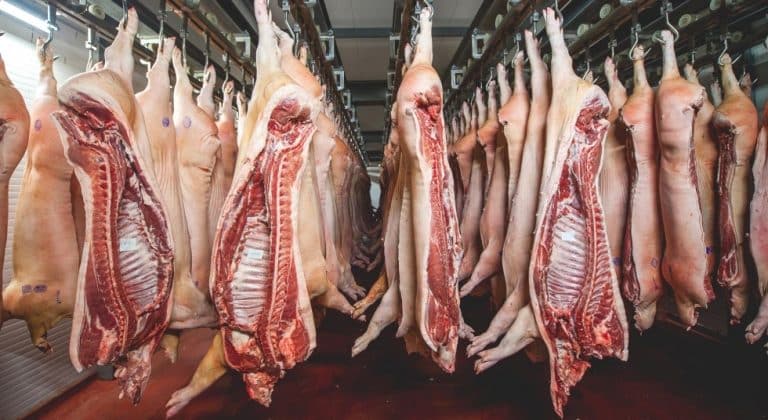 El Salvador, nuevo mercado para exportación de carne paraguaya