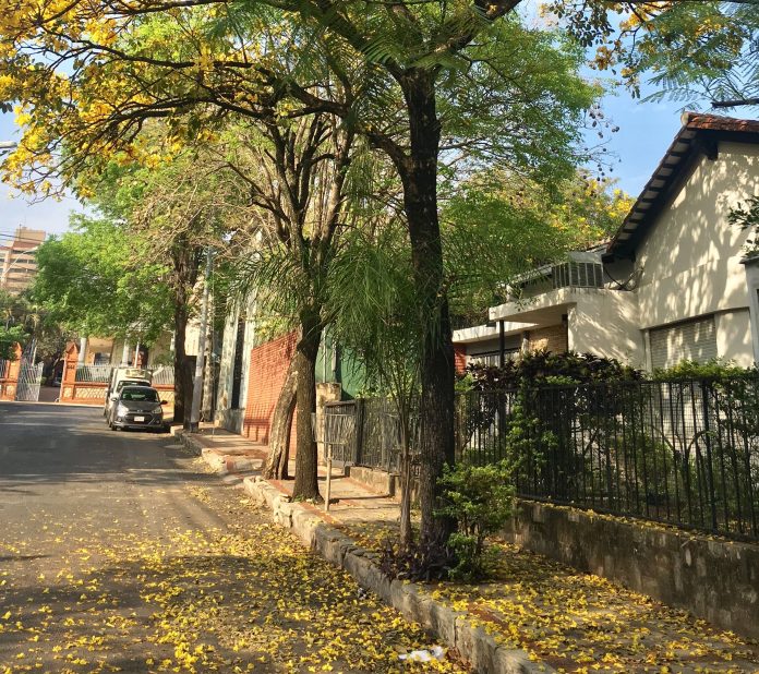 Barrio Las Mercedes