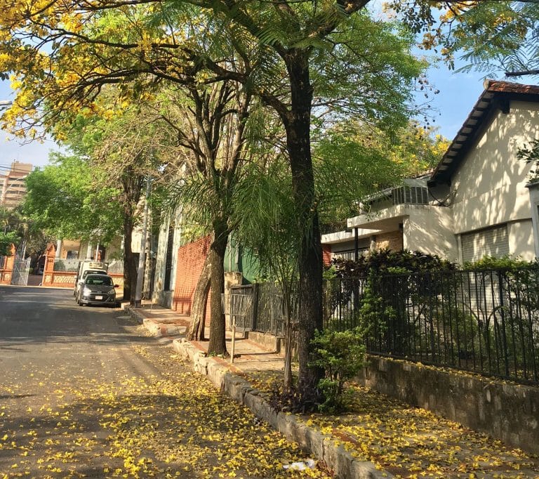 Barrio Las Mercedes