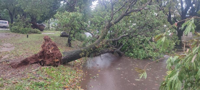 Temporal causó destrozos en Encarnación