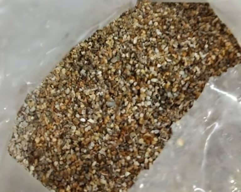 Viceministerio de Minas investiga posible hallazgo de oro en Caapucú
