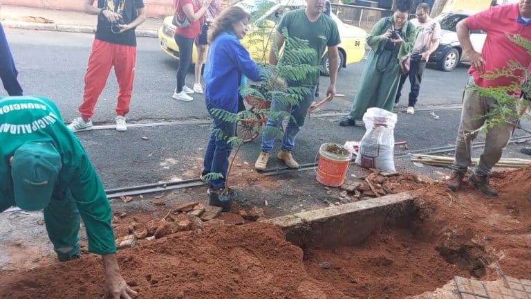 Vecinos de Las Mercedes impulsan reforestación urbana con especies nativas