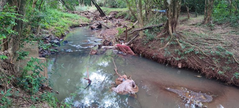 Agoniza el Potï-y por contaminación de sus aguas