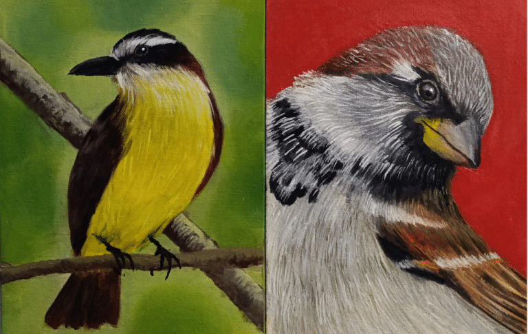 Arte en La Tribuna: Talleres de dibujo realista y pintura al óleo