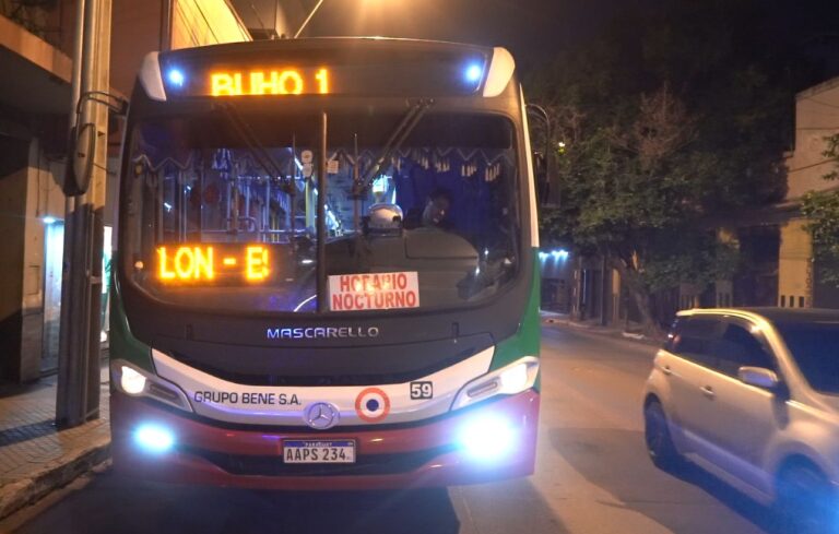 Transporte público: Red Búho ampliará cobertura nocturna con nuevas rutas