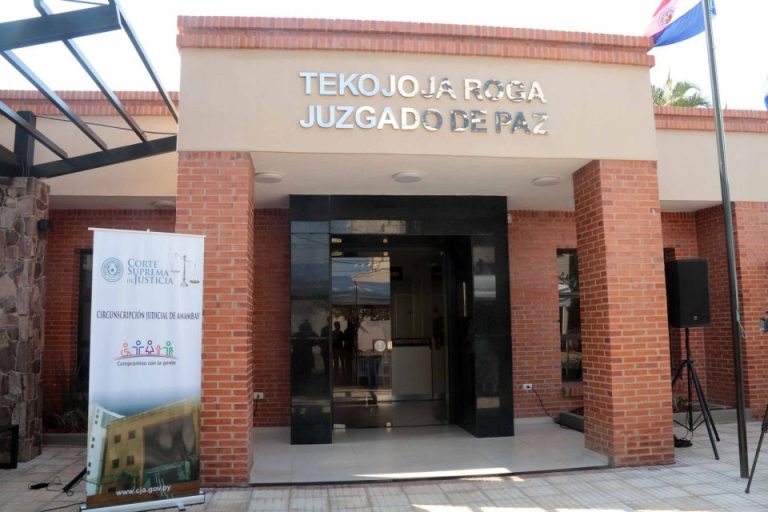 Ejecutivo veta ley de juzgados por violencia intrafamiliar