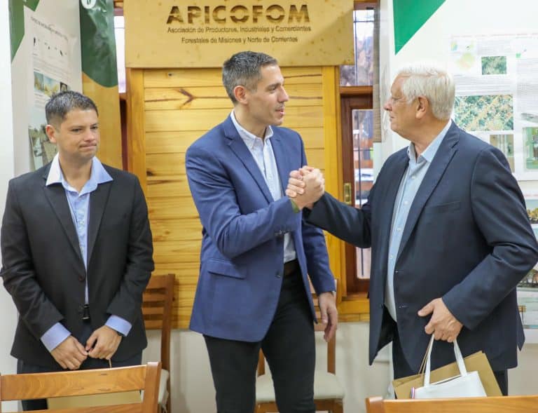 Industria forestal es una opción que el MIC maneja para diversificar la matriz exportadora de Paraguay