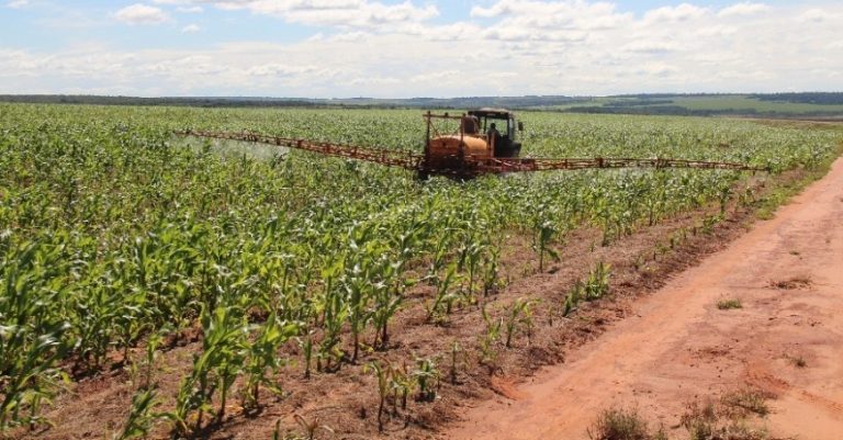 Hubo caída en agricultura y crecimientos en ganadería, manufacturas y construcciones