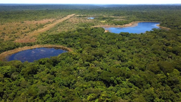 Un militar resultó herido tras un enfrentamiento entre fuerzas especiales del CODI y un grupo armado en la Reserva Natural del Bosque Mbaracayú. El operativo continúa en curso en el Departamento de Canindeyú, según confirmaron fuentes oficiales.