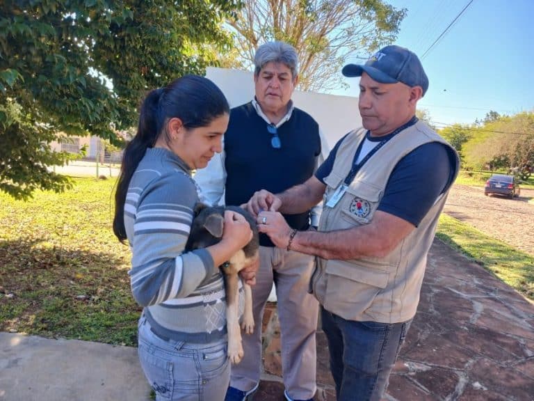 Más de 590 mascotas vacunadas contra la rabia en Itapúa ante el Rally del Paraguay 2025