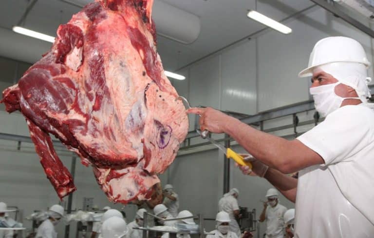 Volver a los mataderos, es la opción que el MAG propone para abaratar la carne