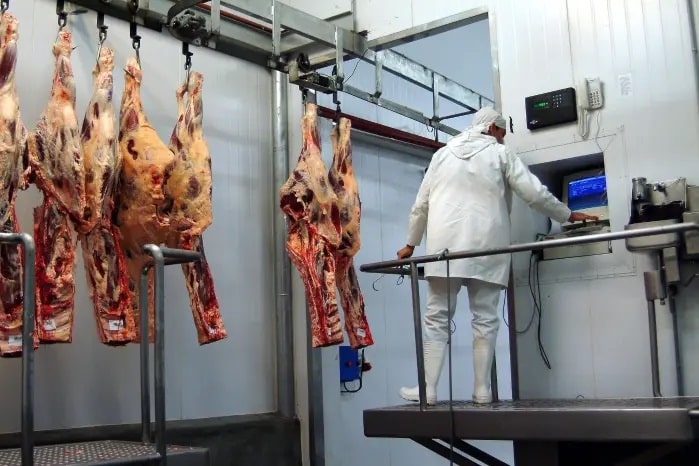 carne Panamá