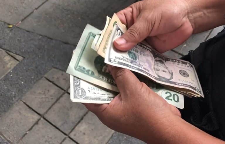 dólar año